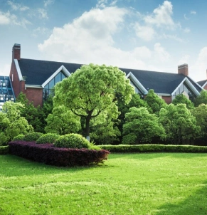 Built to Last with Our Expert Landscaping Work 2