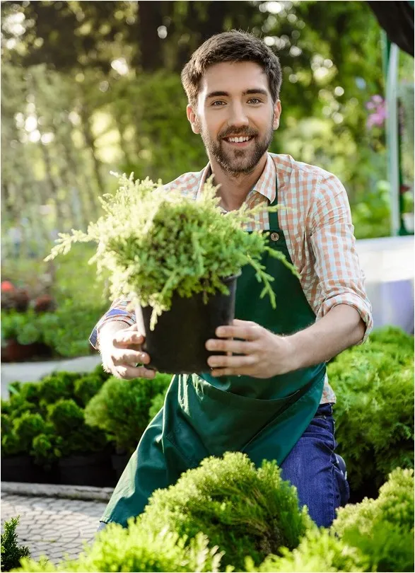 Helpful Answers for Informed Decisions